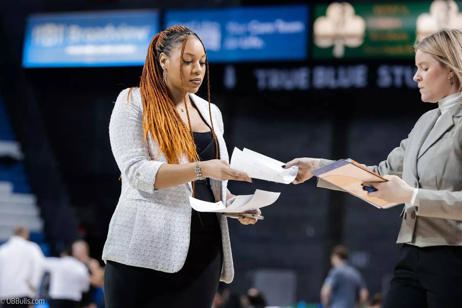 Arizona Women's Basketball has added former Buffalo Director of Basketball Ops Allese Williams as its first Director of Staff Operations.